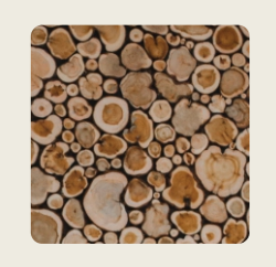 Juniper wall